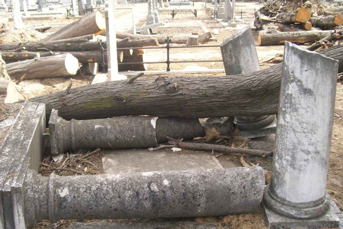 Fallen trees, destroying stones