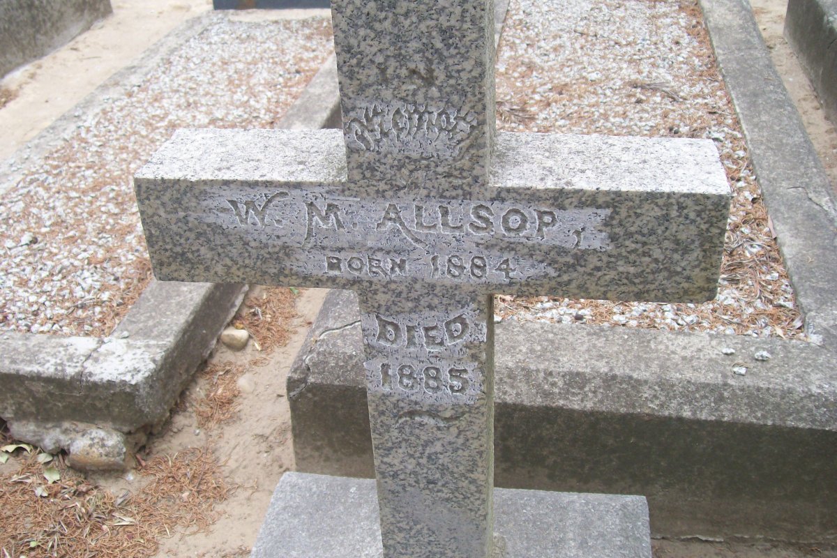 ALLSOP W.M. 1884-1885