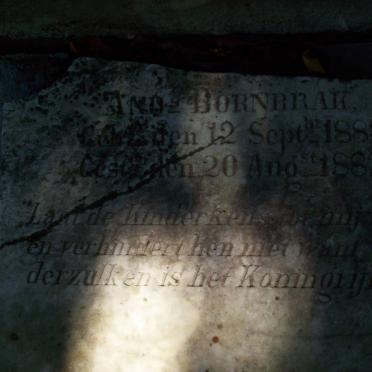 BORNBRAK Amoz 1881-1882