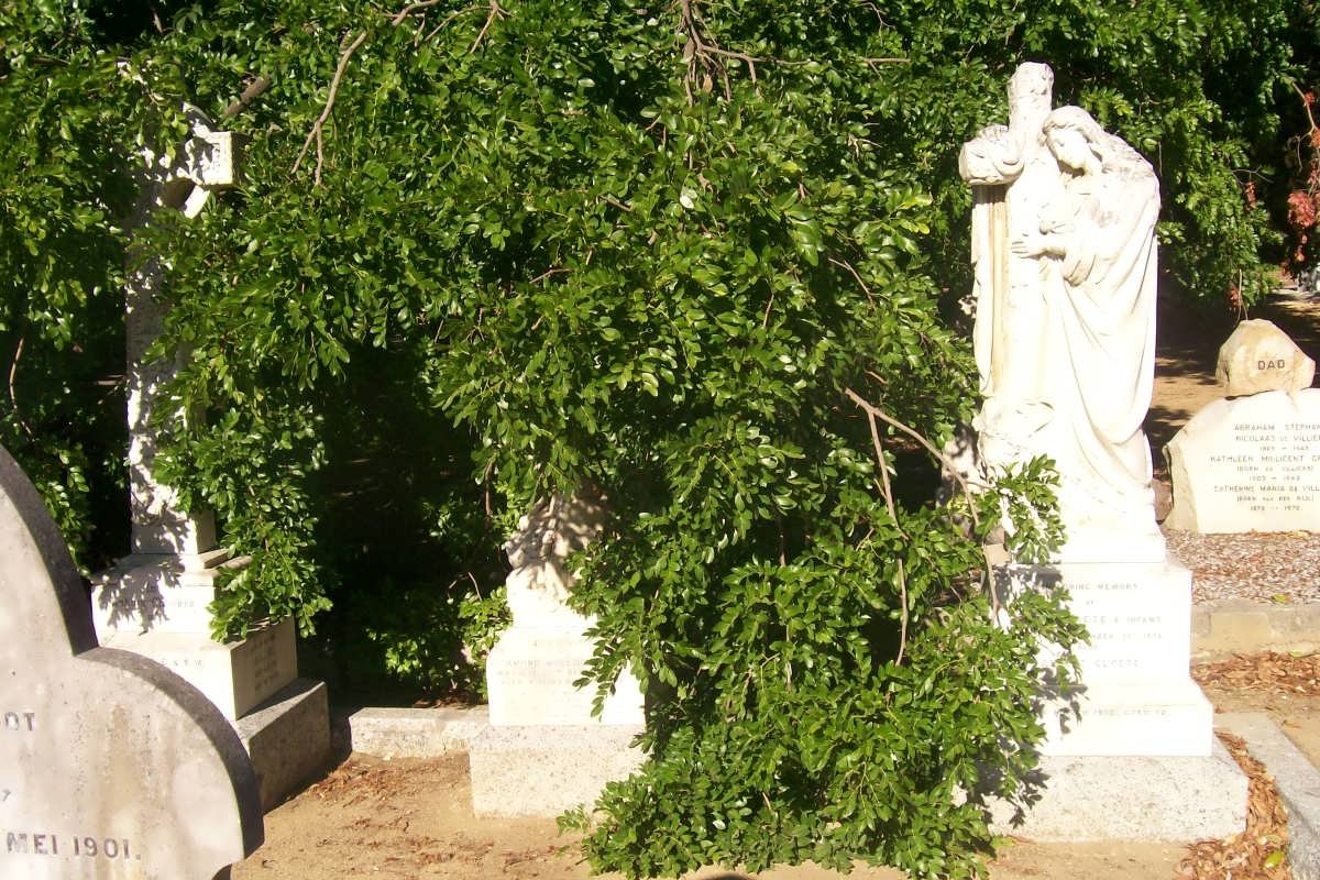 CLOETE GRAVE