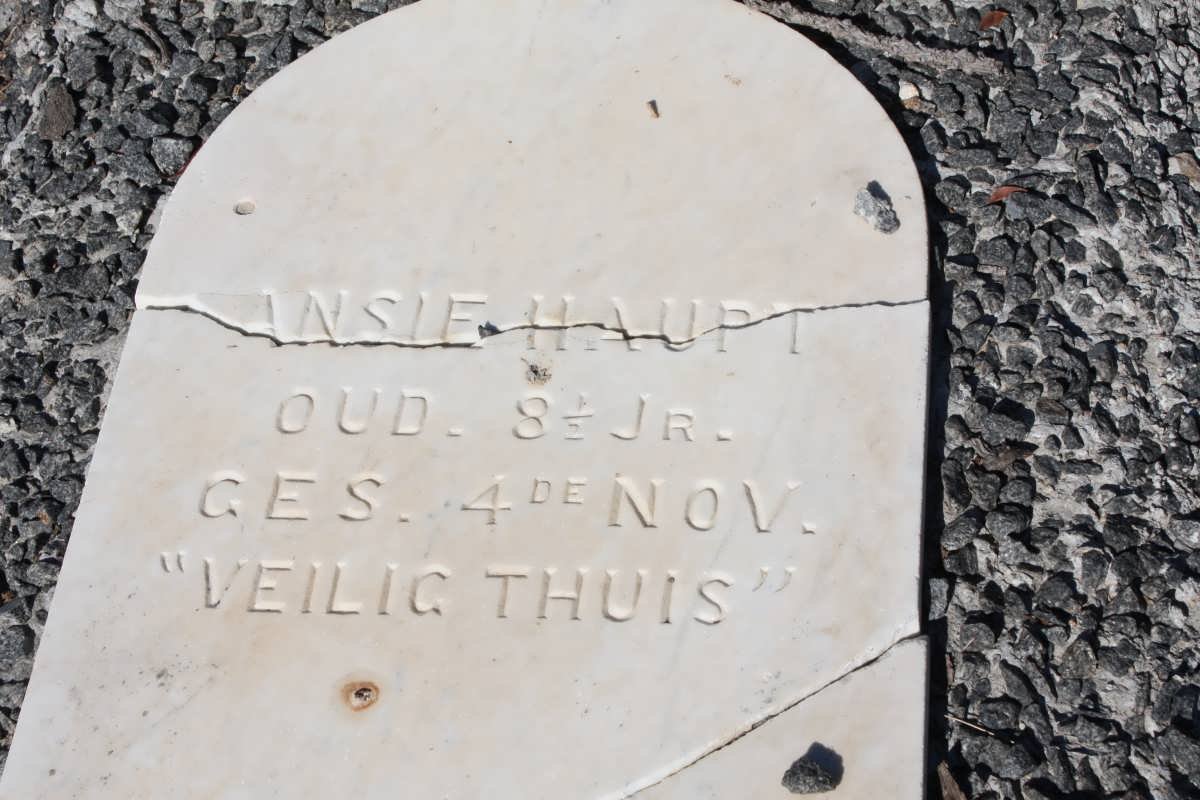 HAUPT Ansie
