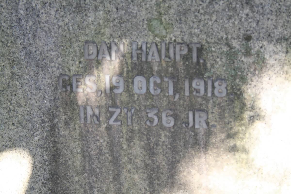 HAUPT Dan -1918