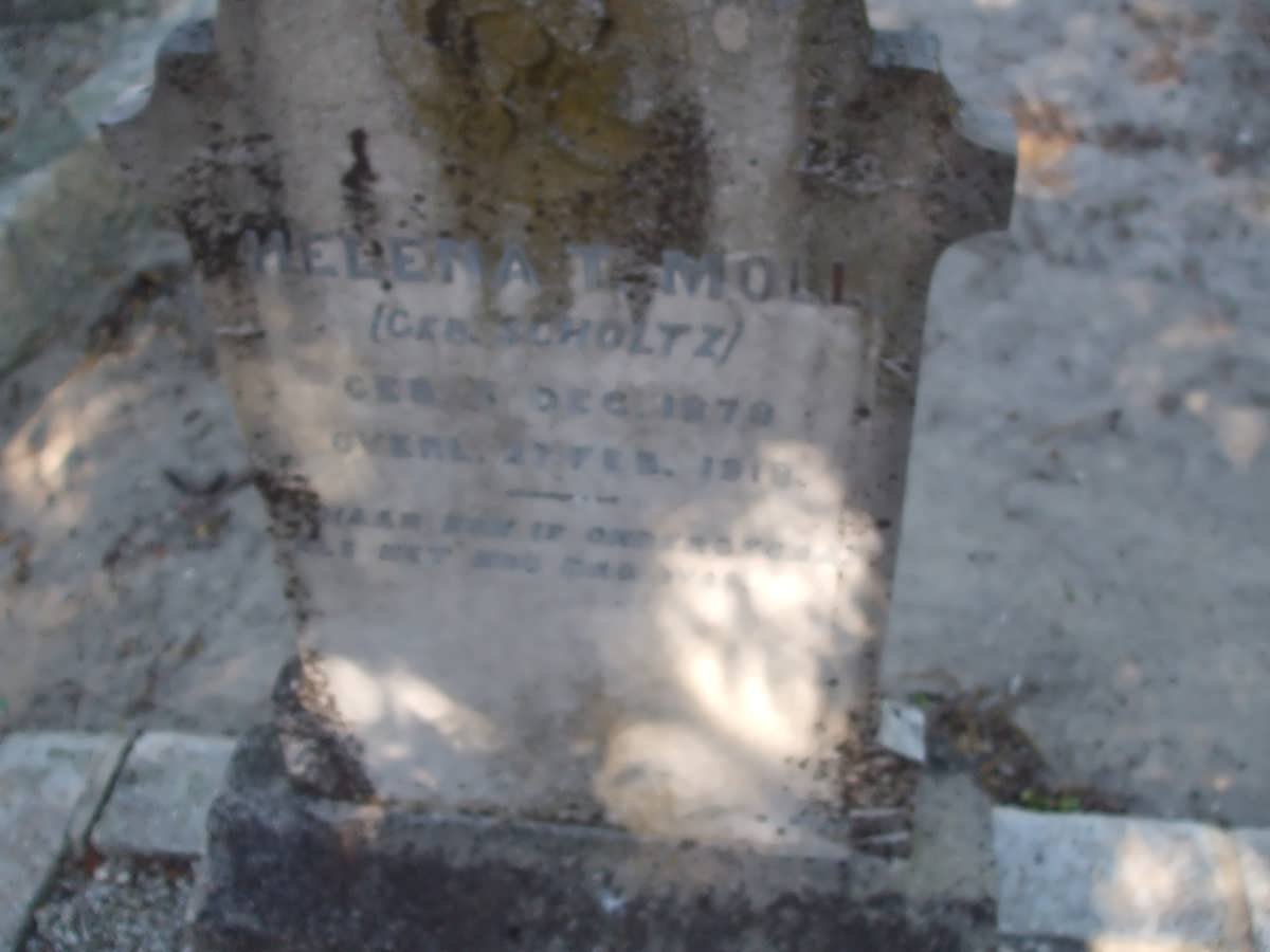 MOLL Helena T. nee SCHOLTZ 187?-1918