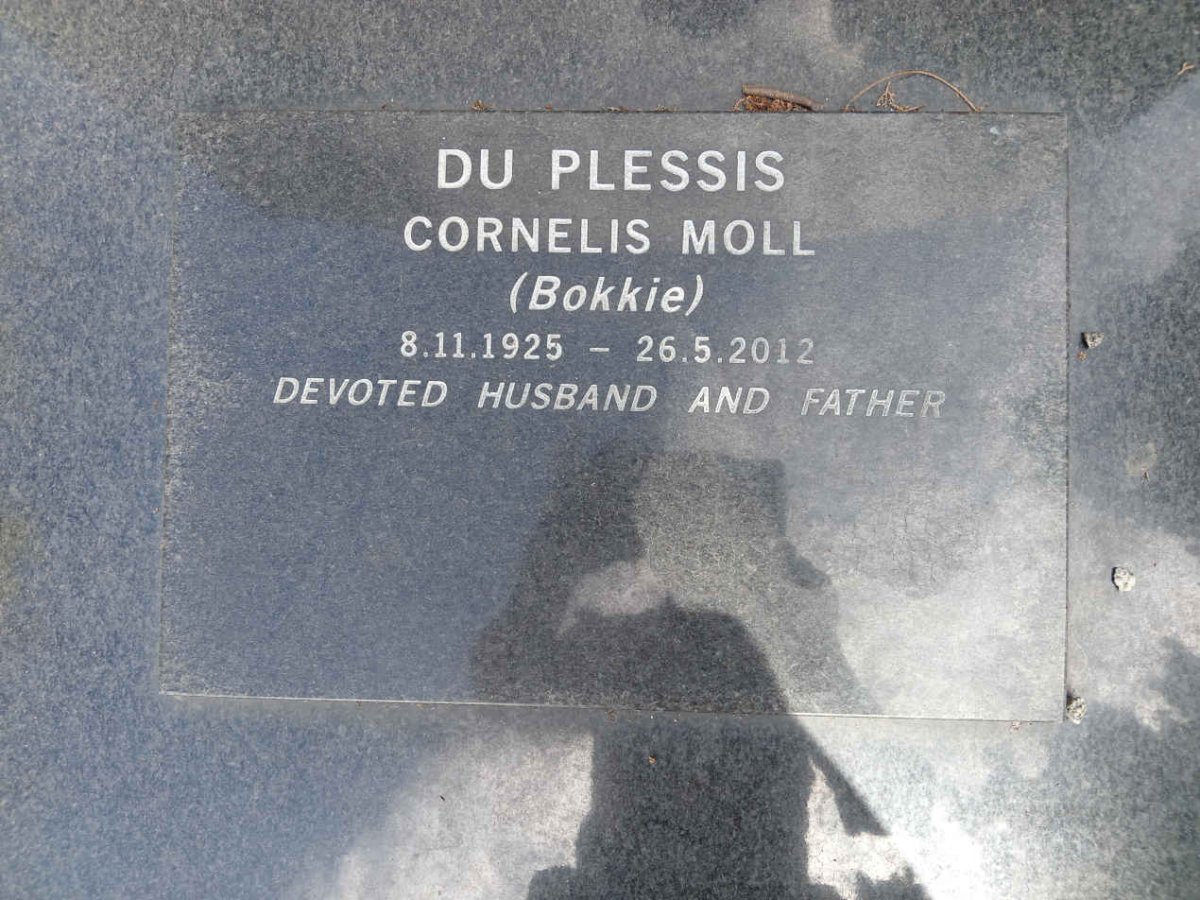 PLESSIS Cornelis Moll, du 1925-2012