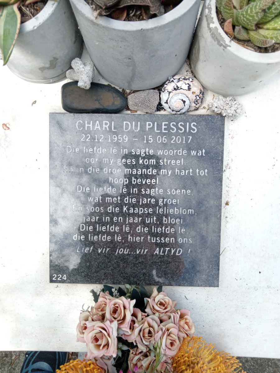 PLESSIS Charl, du 1959-2017