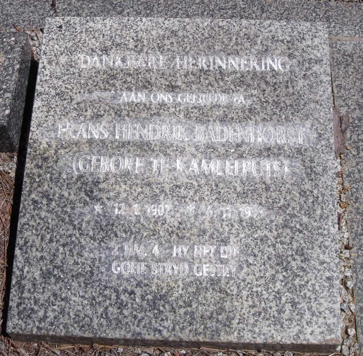 BADENHORST Hans Hendrik 1907-1993