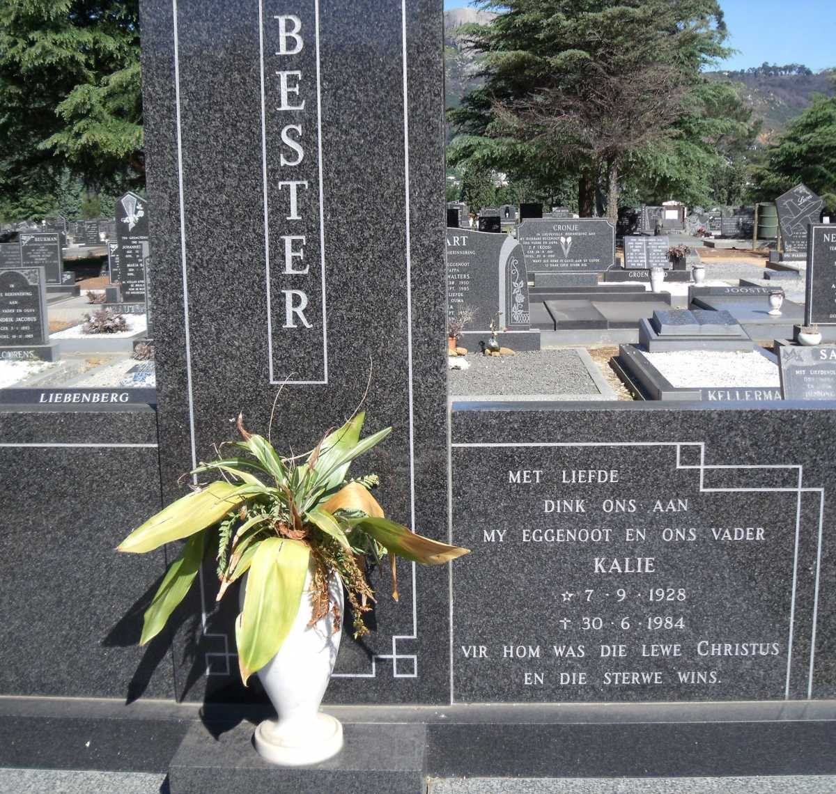 BESTER Kalie 1928-1984