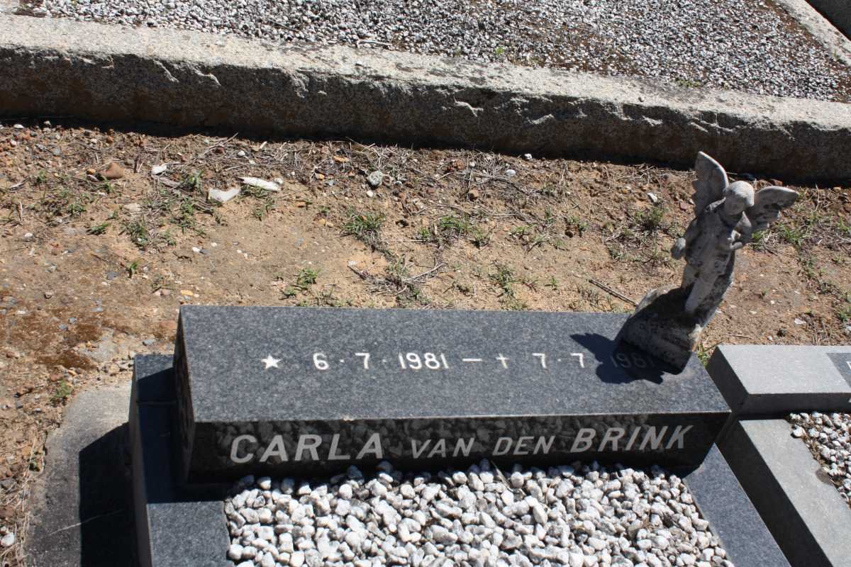 BRINK Carla, van den 1981-1981