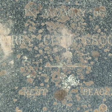 ESCOTT Harry Cecil