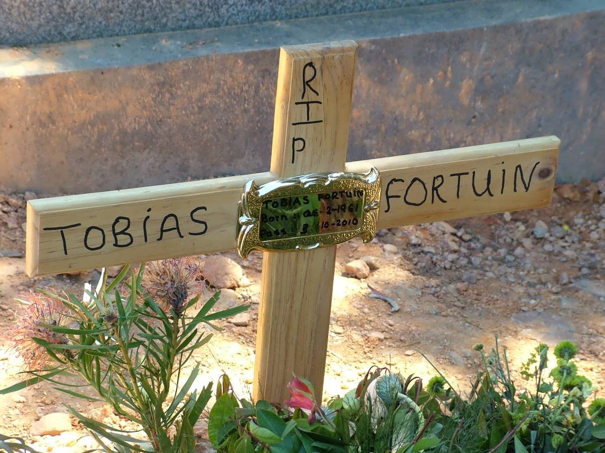 FORTUIN Tobias 1981-2010