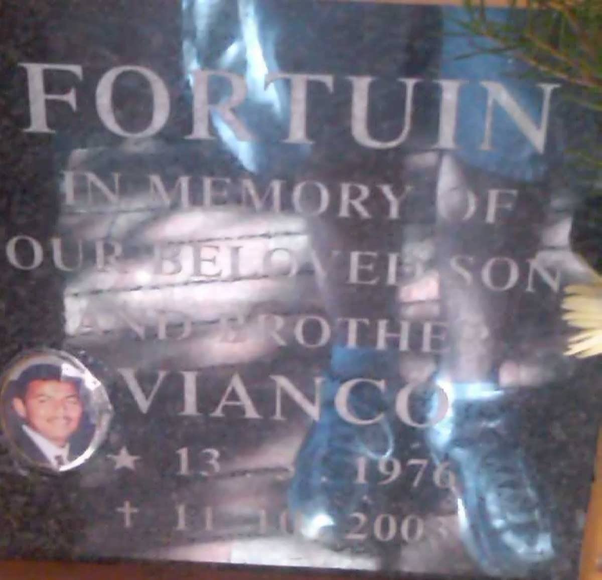 FORTUIN Vianco 1976-2003