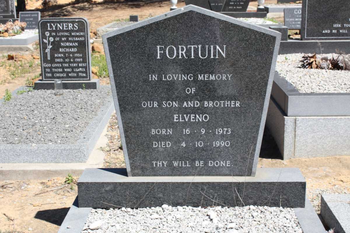 FORTUIN Elveno 1973-1990