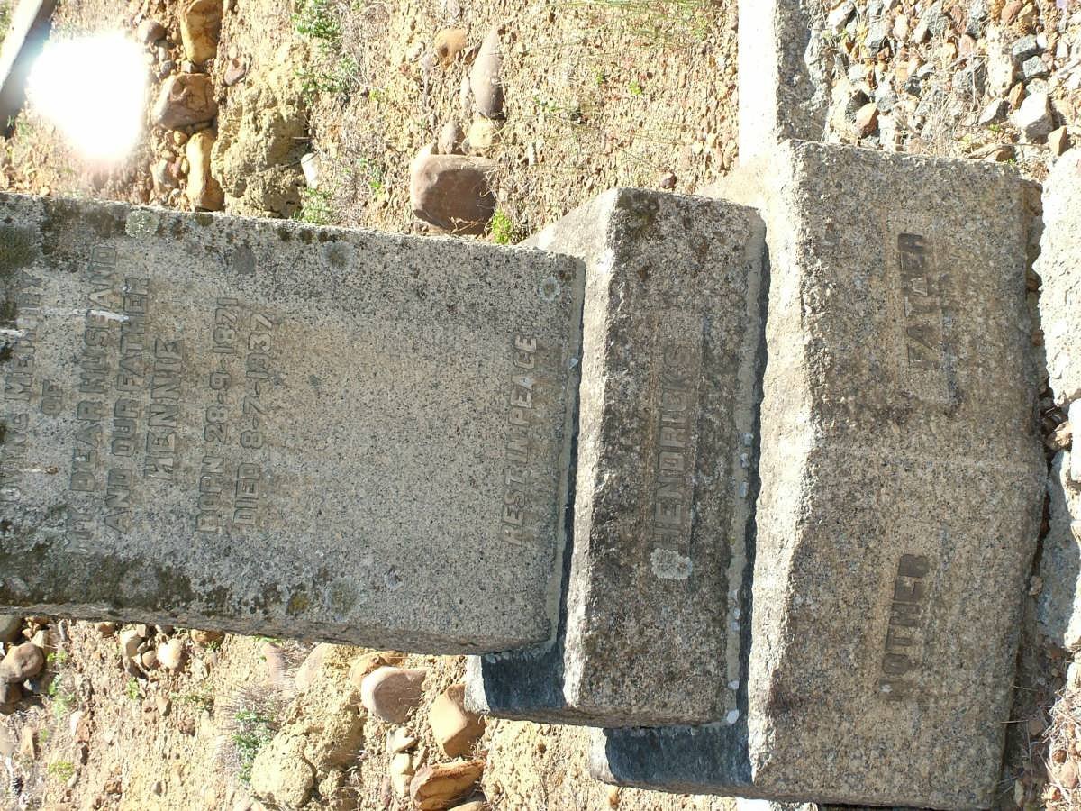 HENDRICKS Hennie 1871-1937