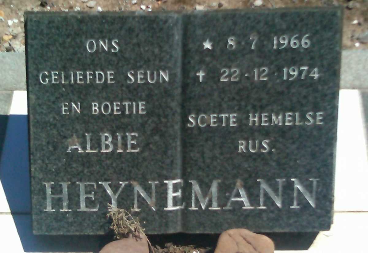 HEYNEMANN Albie 1966-1974