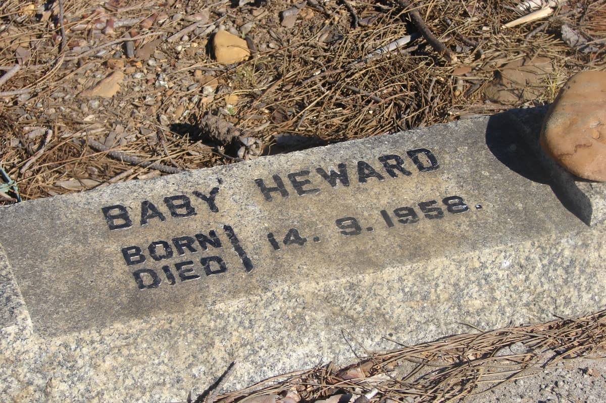 HEWARD Baby 1958-1958