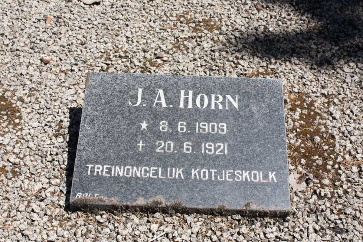 HORN J.A. 1909-1921