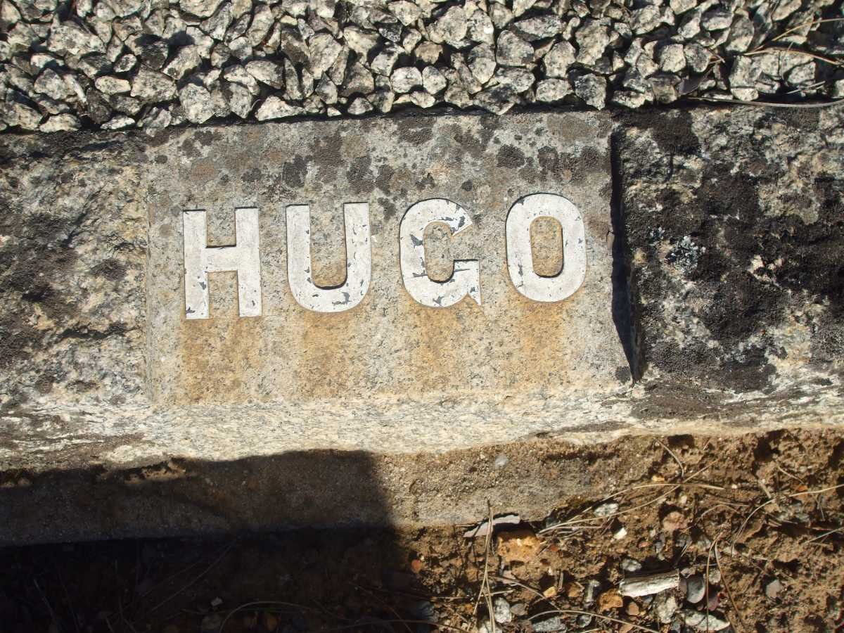 HUGO