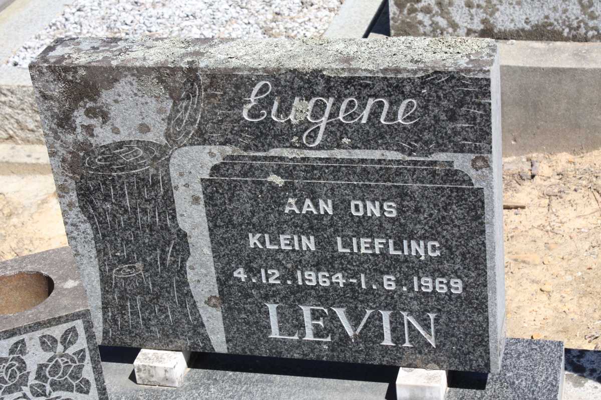 LEVIN Eugene 1964-1969