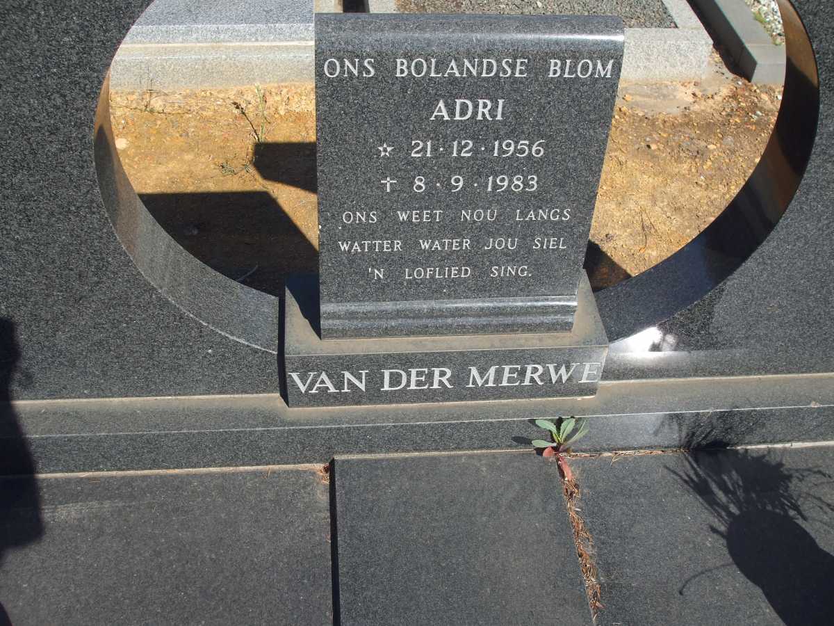 MERWE Adri, van der 1956-1983