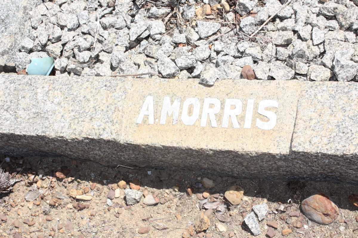 MORRIS A.