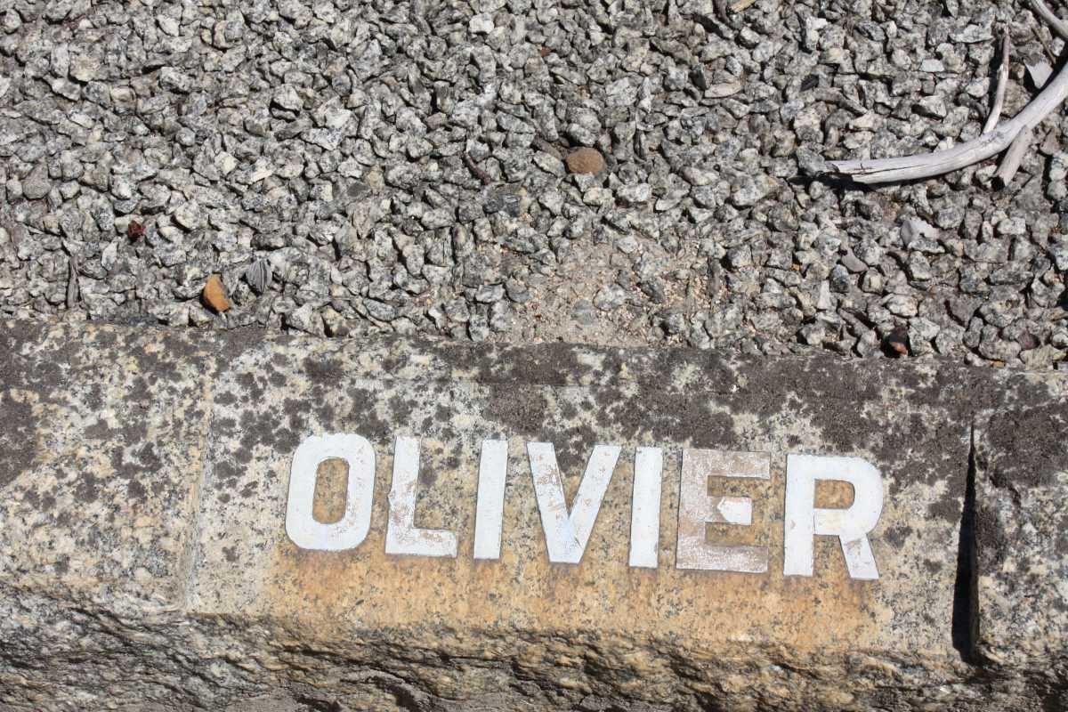 OLIVIER