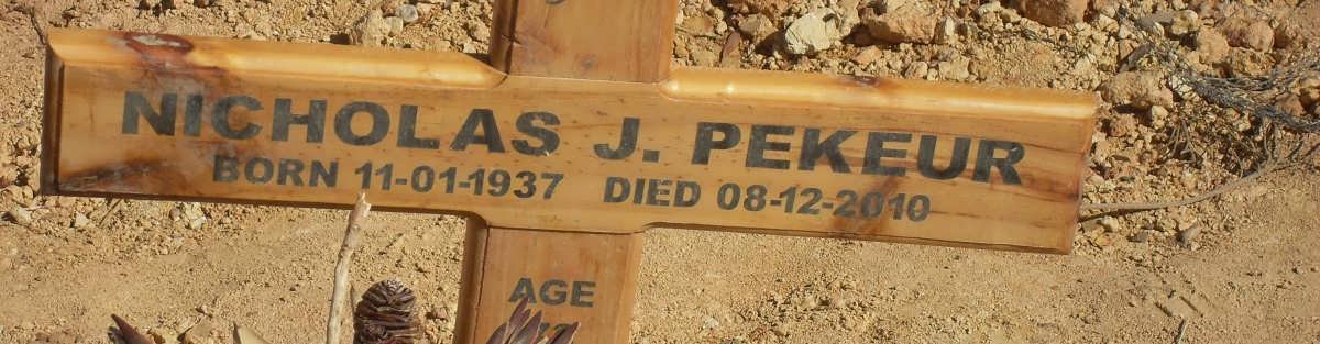 PEKEUR Nicholas J. 1937-2010