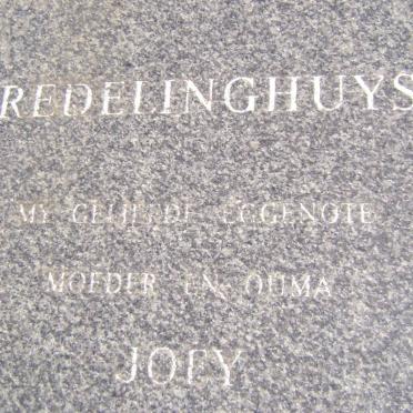 REDELINGHUYS Joey