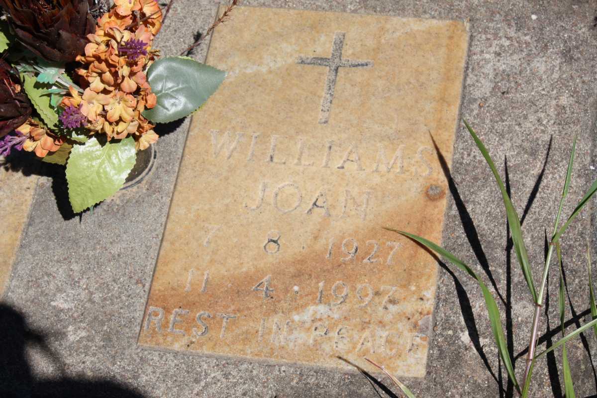 WILLIAMS Joan 1927-1997