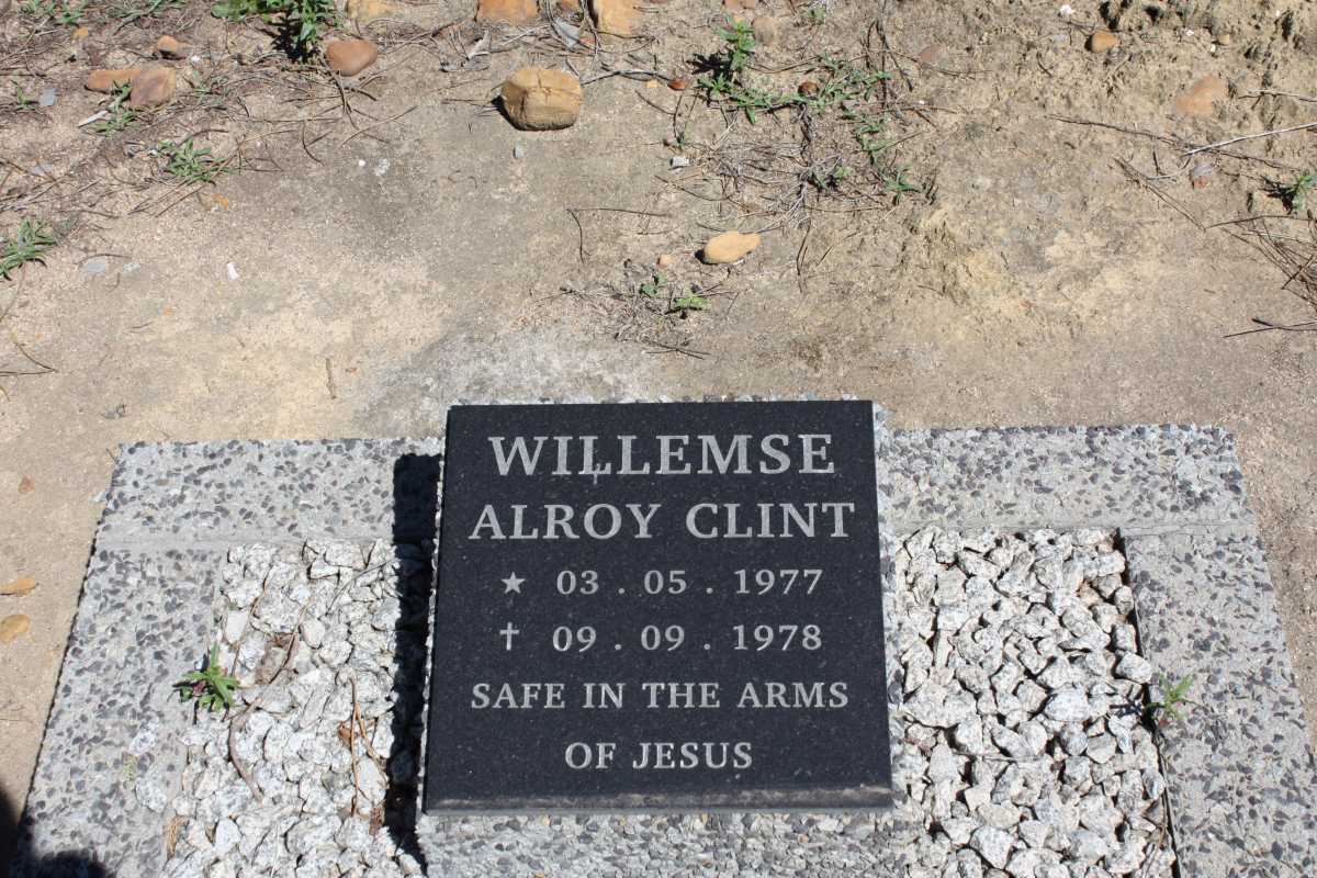 WILLEMSE Alroy Clint 1977-1978