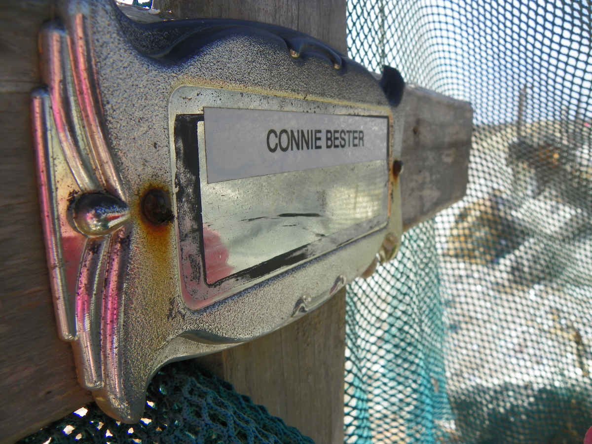 BESTER Connie