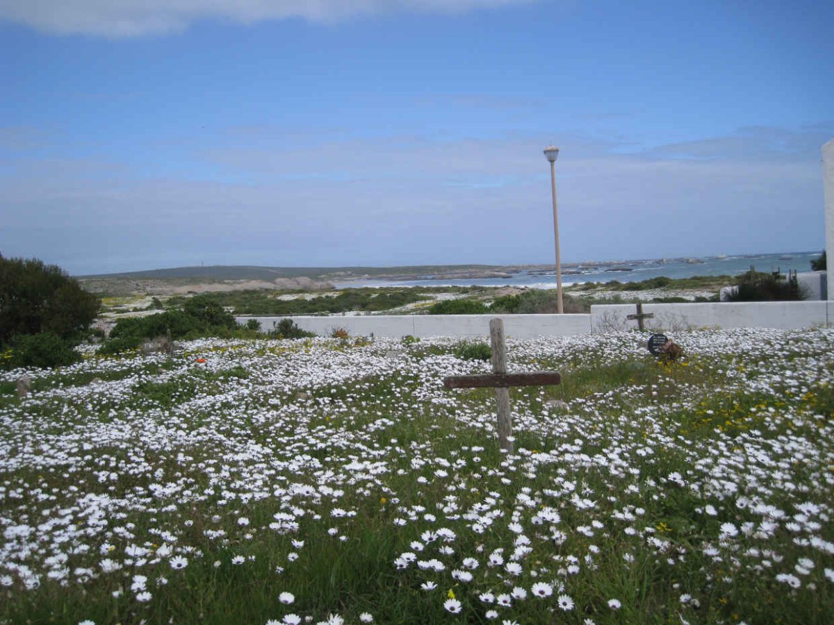 1. Oorsig