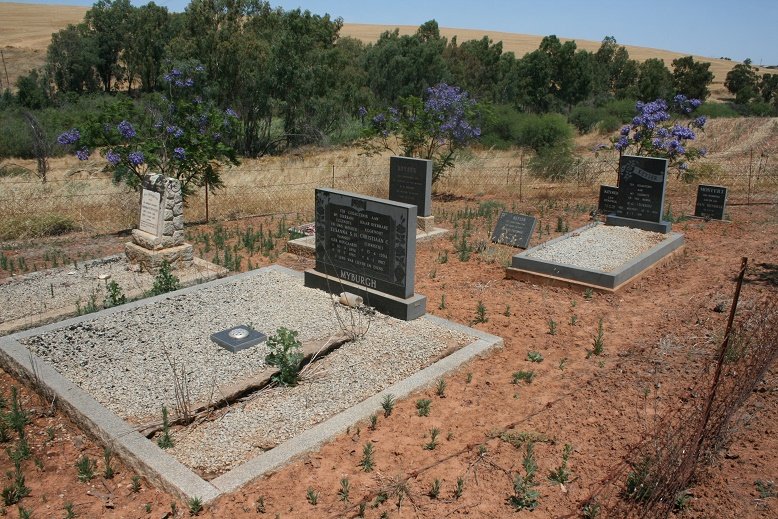 1. Overview
