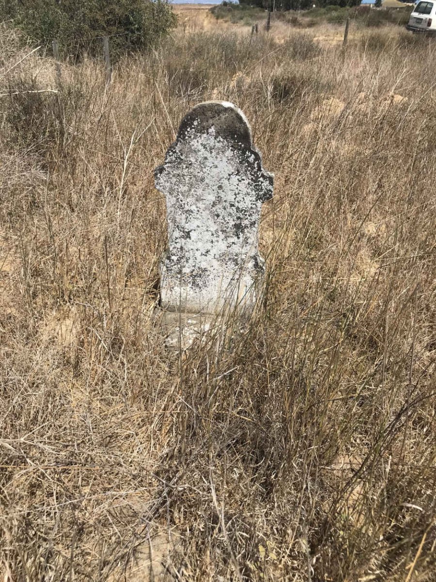 ?