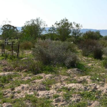 2. Entrance to the cemetery