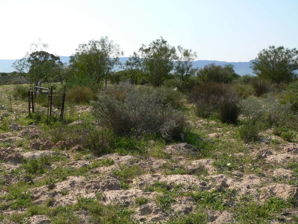 2. Entrance to the cemetery
