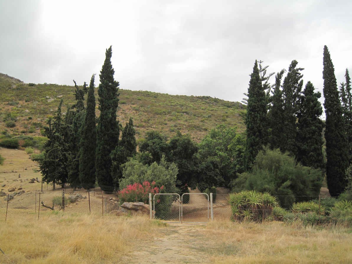 2. Entrance to the cemetery