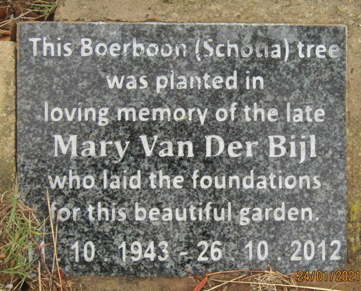 BIJL Mary, van der 1943-2012