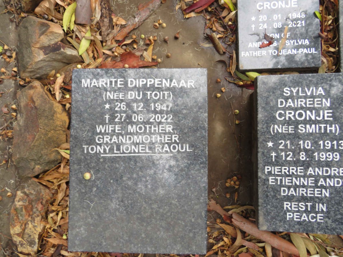 DIPPENAAR Marite nee DU TOIT 1947-2022
