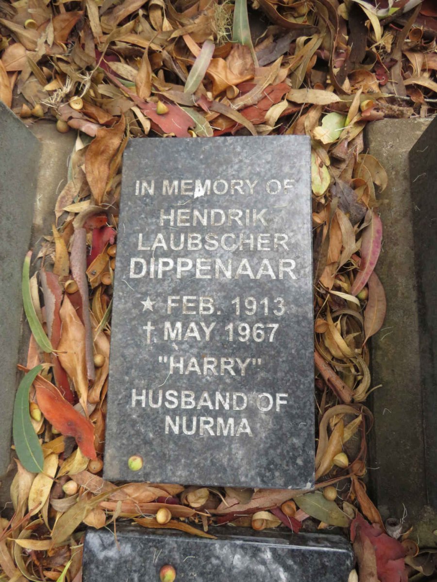 DIPPENAAR Hendrik Laubscher 1913-1967