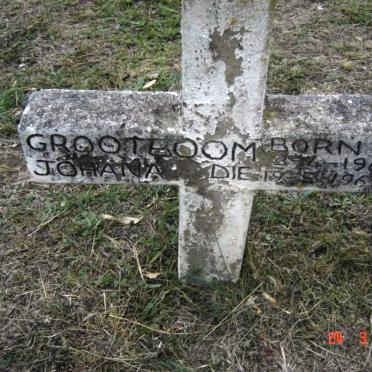 GROOTBOOM Johana 1965-1967