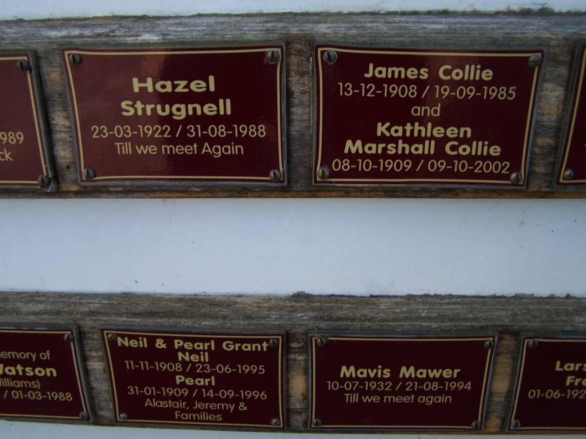 STRUGELL :: COLLIE :: GRANT :: MAWER