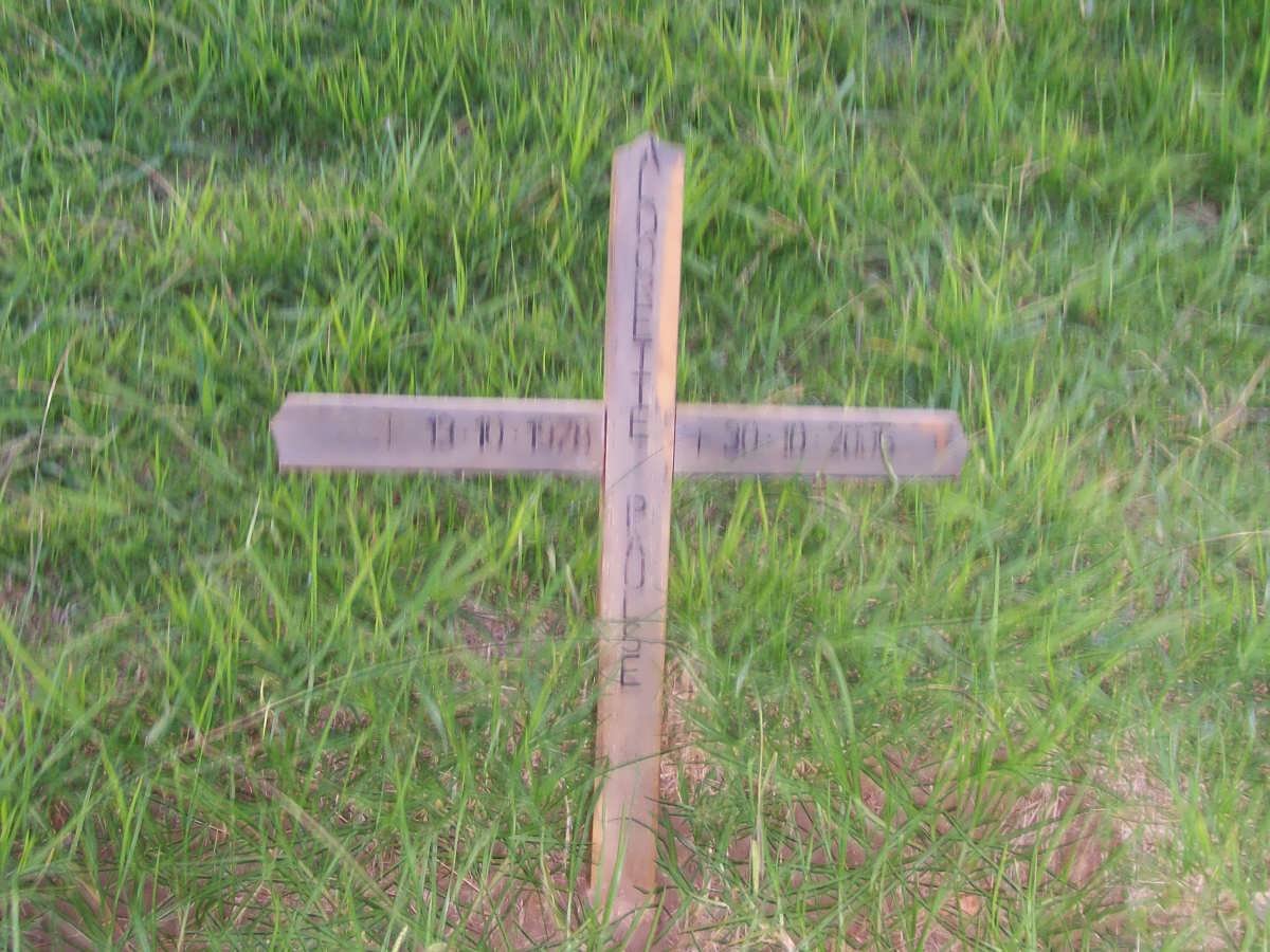 PAULSE Aldorette 1978-200?