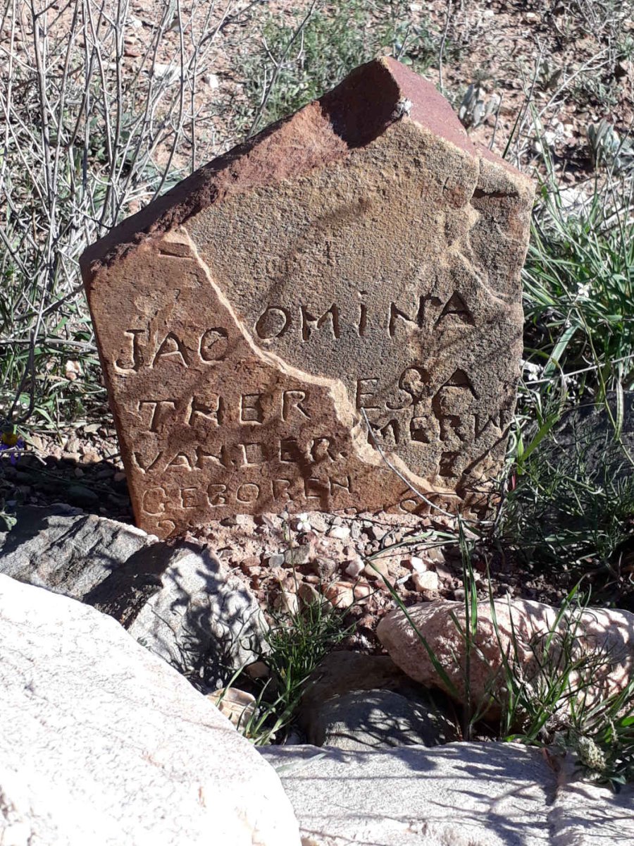 MERWE Jacomina Theresa, van der