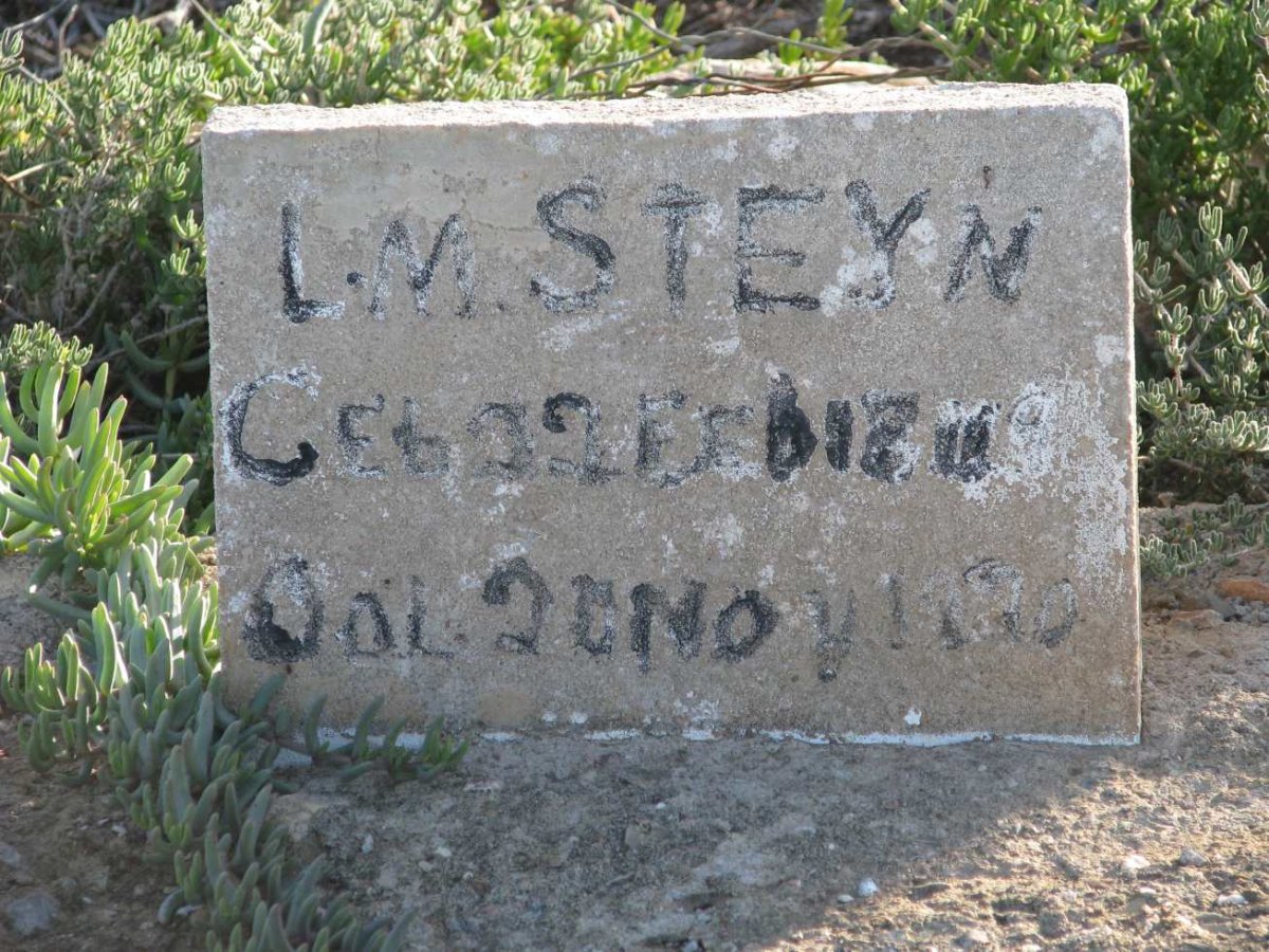 STEYN L.M. 