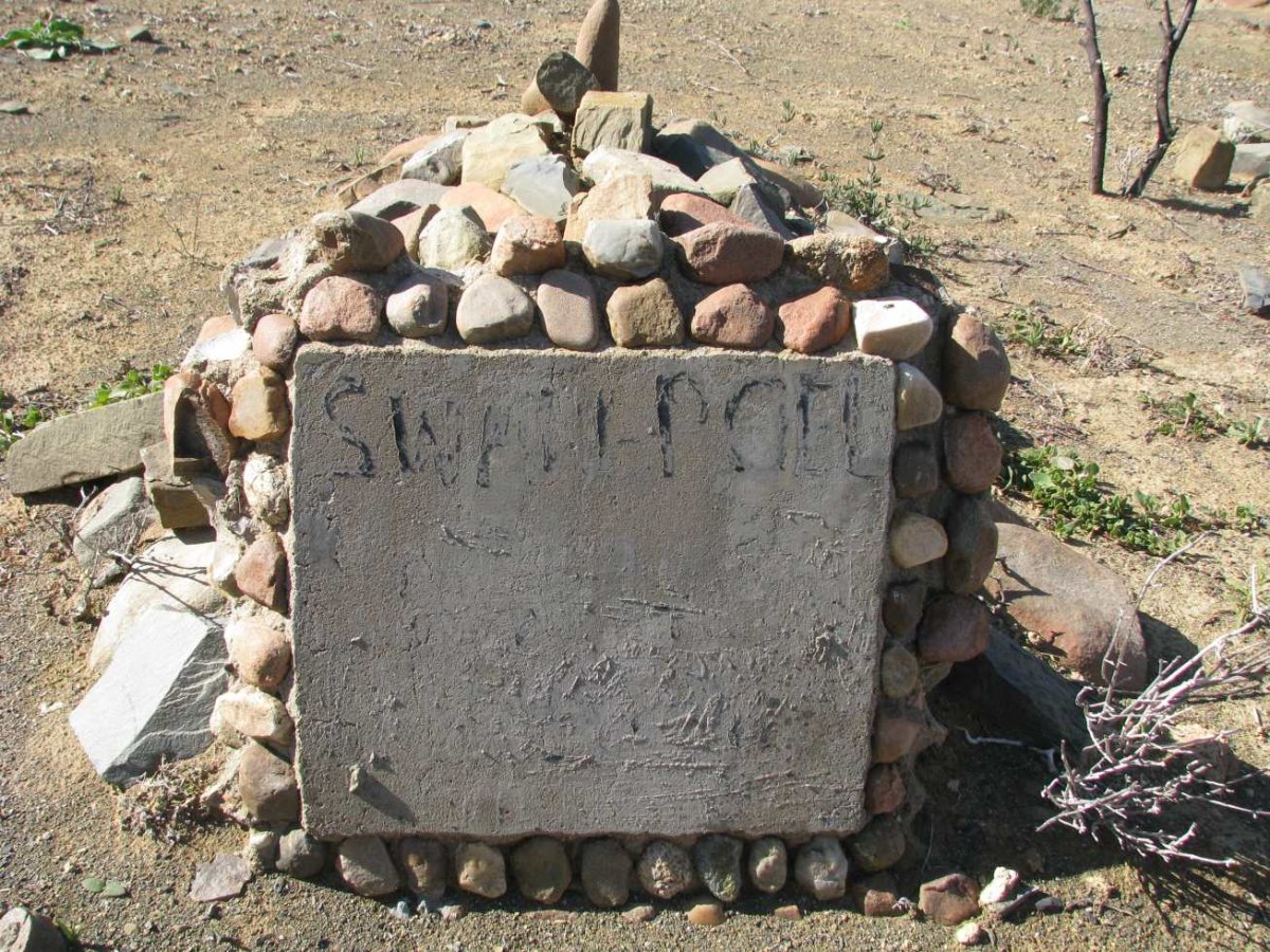 SWANEPOEL