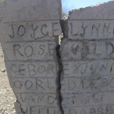 VELDTMAN Joyce Lynne Rose 1959-1961 