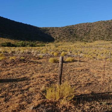 1. Oorsig/Overview