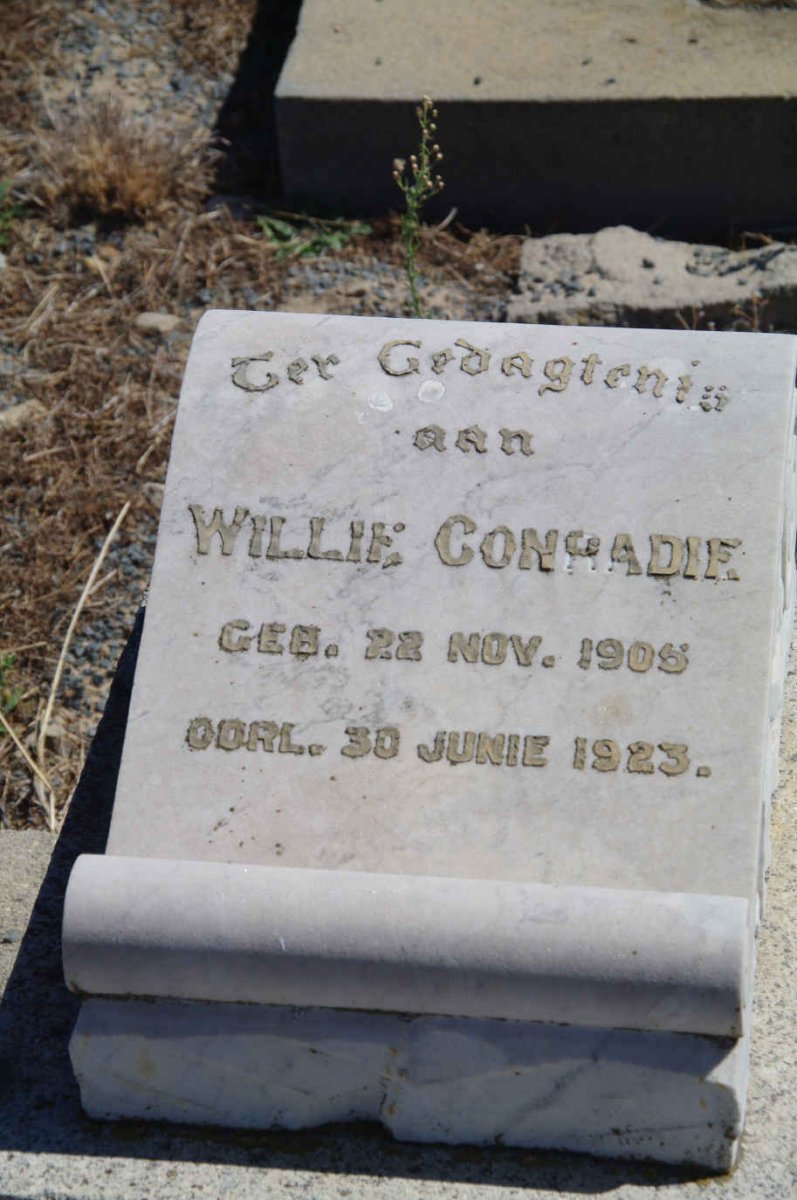 CONRADIE Willie 1905-1923