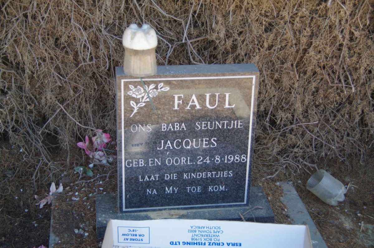 FAUL Jacques 1988-1988