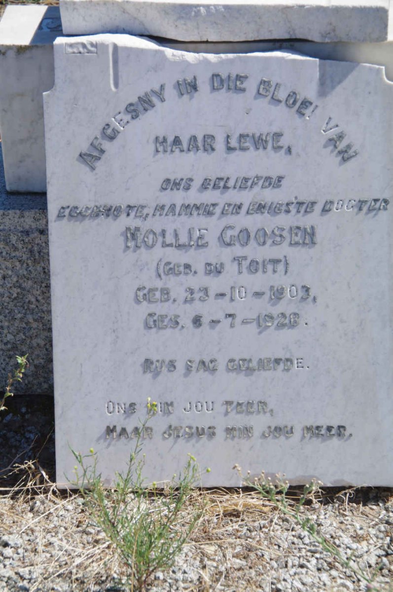 GOOSEN Mollie nee du TOIT 1903-1926